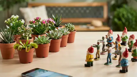 Warum Plants vs. Zombies™ das perfekte Spiel für stressige Zeiten ist