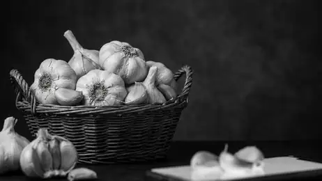 Why foodpanda: food & groceries Is Essential for Food Enthusiasts