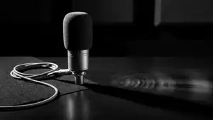 Changeur de voix avec effets : Révolution du divertissement sonore header