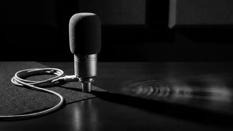 Changeur de voix avec effets : Révolution du divertissement sonore header