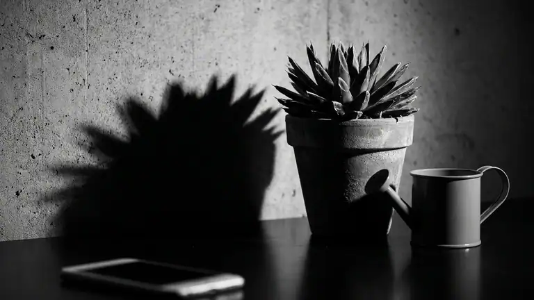 O Fascínio Duradouro de Plants vs. Zombies™: Nostalgia e Estratégia header