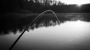 Fishing Clash: O Segredo do Sucesso do Simulador de Pesca header