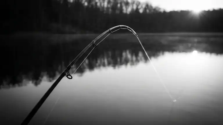 Fishing Clash: O Segredo do Sucesso do Simulador de Pesca header
